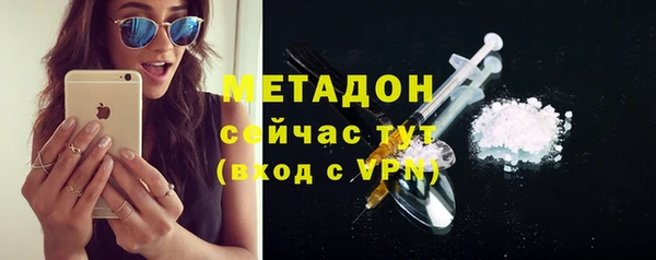 ПСИЛОЦИБИНОВЫЕ ГРИБЫ Арсеньев