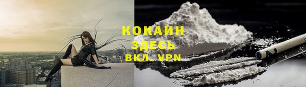 ПСИЛОЦИБИНОВЫЕ ГРИБЫ Арсеньев