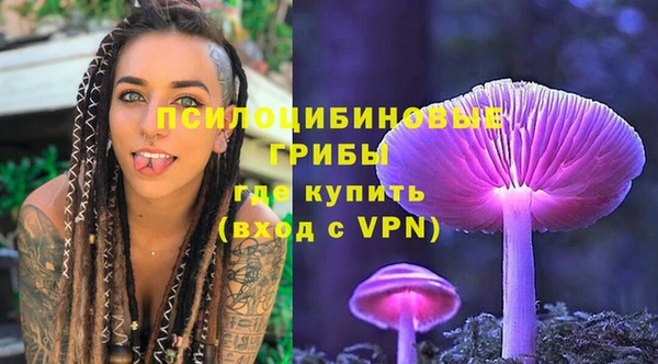 ПСИЛОЦИБИНОВЫЕ ГРИБЫ Арсеньев