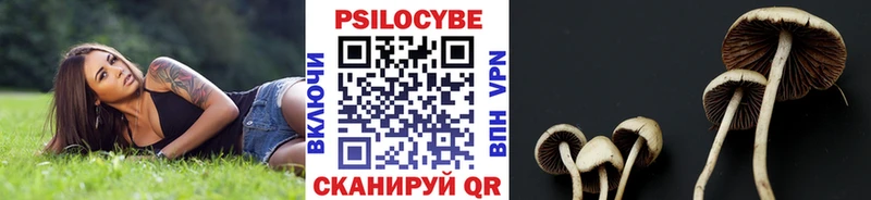 Псилоцибиновые грибы Psilocybine cubensis  shop Telegram  Ивдель  что такое наркотик 